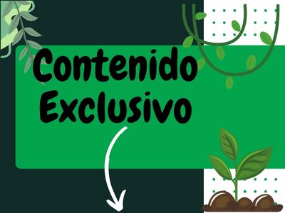 Contenido